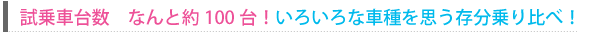 試乗車台数　約60〜80台。各種コースを試乗して頂きます。 
